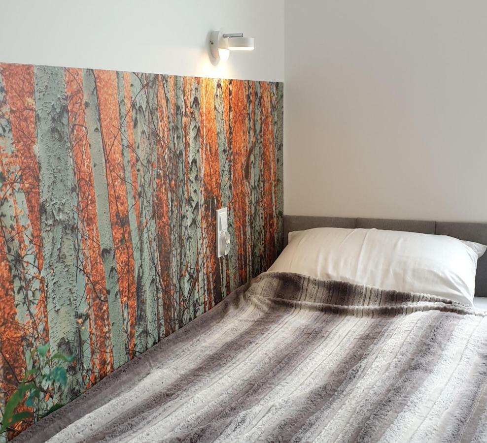 Świeradów-Zdrój Apartament Logana Z Sauna - 5D Apartamenty מראה חיצוני תמונה
